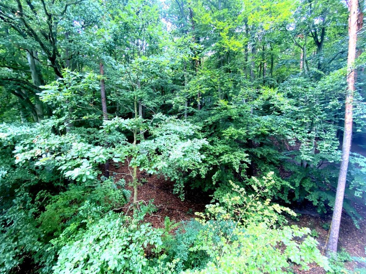 Forest - 23 Marca Sopot By Grand Apartments Esterno foto